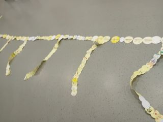 20231120_083919_copy_1024x768